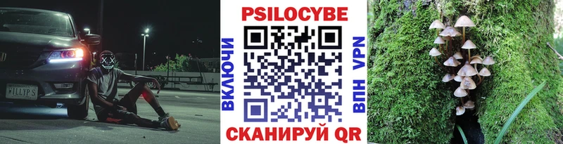 площадка формула  Электрогорск  Псилоцибиновые грибы Cubensis  что такое  