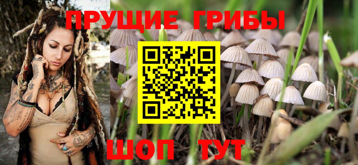 продажа наркотиков  Галлюциногенные грибы MAGIC MUSHROOMS  Вход с VPN  Электрогорск 